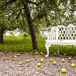 Hotel Reck's Hotel-restaurant Salem (Baden-Wurttemberg)