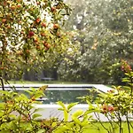 Reck's Hotel-restaurant Hotel Salem (Baden-Wurttemberg)