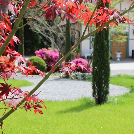 Reck's Hotel-restaurant Hotel Salem (Baden-Wurttemberg)