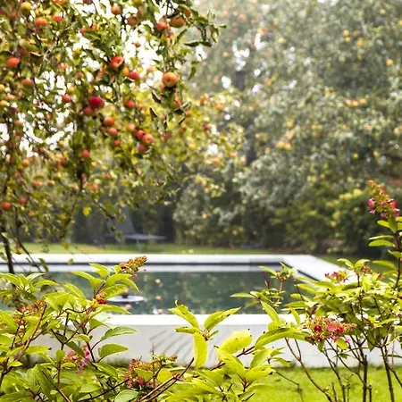 Reck's Hotel-restaurant Szálloda Salem