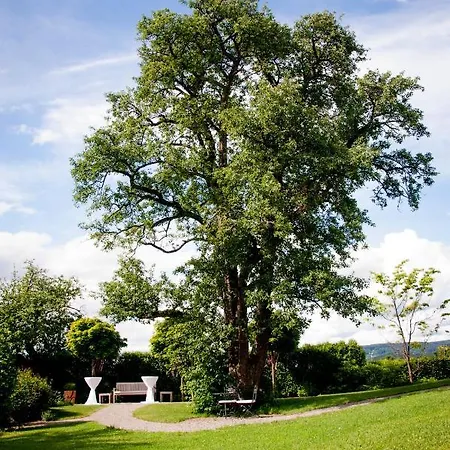 Reck's Hotel-restaurant Hotel 3*