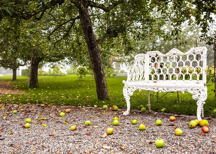 Ξενοδοχείο Reck's Hotel-restaurant Salem (Baden-Wurttemberg)