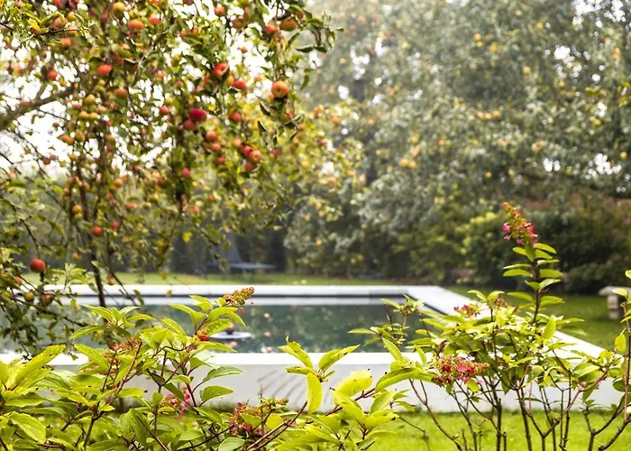 Reck's Hotel-restaurant Ξενοδοχείο Salem (Baden-Wurttemberg)