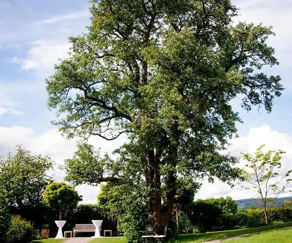 Reck's Hotel-restaurant Ξενοδοχείο 3*